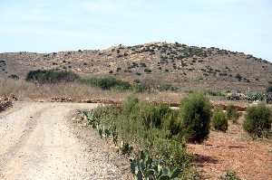 Camino en Huerto Po 