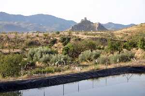 Pileta de Regado y Castillo 