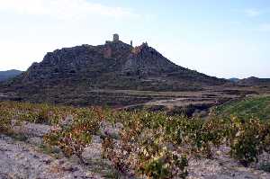 Cultivos de Vid y Castillo 