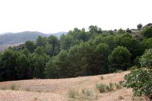 Vista de Paraje 