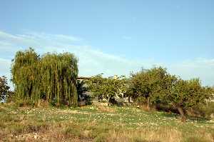 Rambla de las Peladillas 