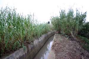 Acequia 