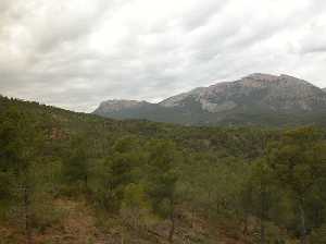 Sierra Espua