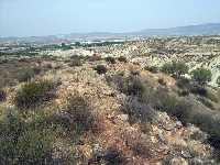 Restos arqueolgicos en el cerro de La Almagra