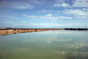 Salinas y arenales de San Pedro del Pinatar