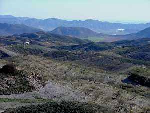 Paisaje tpico en pequeas lomas originado por el modelado de filitas (Puerto Lumbreras)