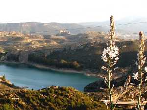 Pantano de la Cierva