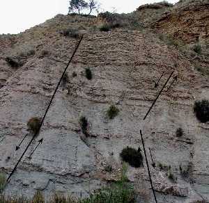 Margas marinas con intercalaciones de niveles de gravas y arenas procedentes del abanico deltaico que secciona el ro Chcamo. Estos materiales estn afectados por numerosas [Geologa]