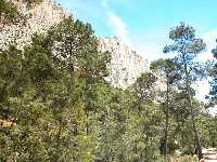 Detalle de la verticalidad de las Parede de Leyva, paraiso de escaladores y zona de hbitat del bho real y el hlcn peregrino. P. R. Sierra Espua.