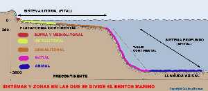 Figura 2. Esquema del perfil del relieve submarino en un corte transversal con la distribucin de las zonas y sistemas consideras para el mar Mediterrneo 