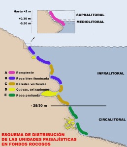 Figura 2. Distribucin aproximada de las unidades paisajsticas consideradas en fondos rocosos