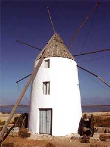 Molino, en las inmediaciones de las Salinas de San Pedro