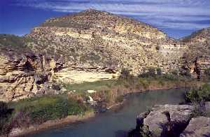 Ro Segura a su paso por los Almadenes (Cieza)