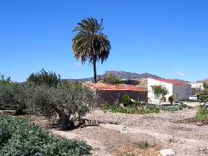 Vista general de una casa tradicional con palmera