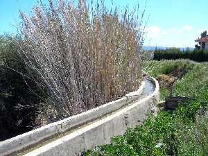 Acequia frente a AAVV [Tiata]