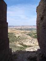 La huerta de Mula vista desde el Castillo de La Puebla