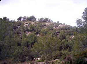 Vista de los alrededores de la Cueva Antn 