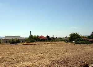 Campo en barbecho