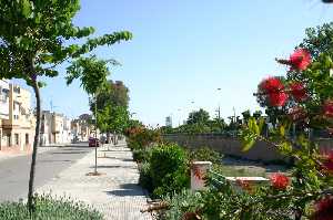 Rambla de Tiata