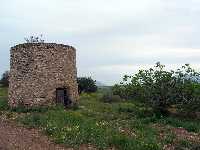 Molino en San Isidro