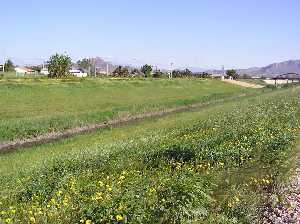 Ro Segura[Alqueras]