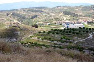 Almendros y Barqueros al fondo