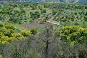 Vistas de Campos del Ro