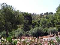 Paisaje desde el Santuario de La Santa