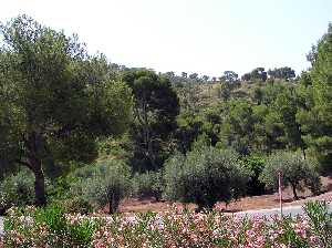 Paisaje desde el Santuario de La Santa