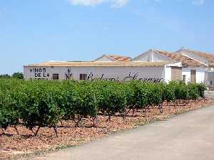 Vista de las Bodegas Serrano(Pozo-Estrecho)