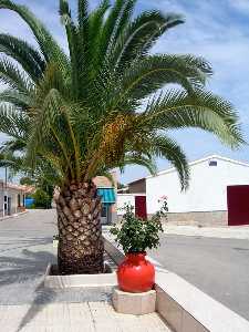 Detalle junto a Plaza Mayor