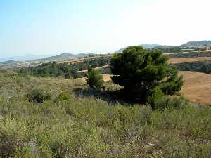 Paisaje del Parque Municipal de la Murta