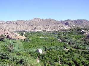 Panormica de la huerta de Ulea 