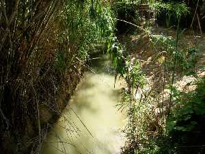 Barreras de la Acequia [La Raya] 