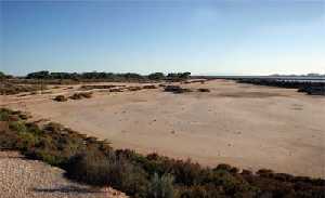 Parque Regional de las Salinas y Arenales de San Pedro