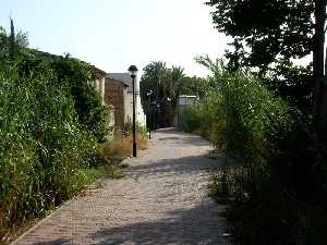 Paseo sobre acequia Alguazas 