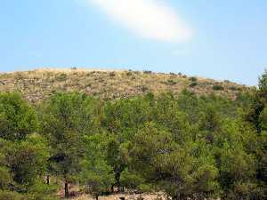 Paraje natural. Fuente Juan Gonzlez 