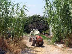 Pequeo tractor 