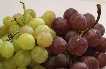 Uvas