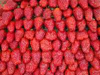 Fresas en el mercado semanal