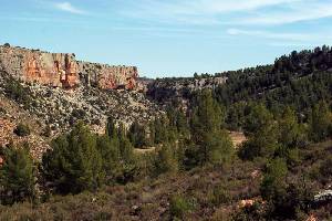 Impresionantes paredes verticales de la zona