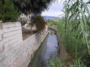 Acequia 