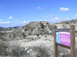 Humedal de la Rambla del Chorro 