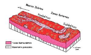 Figura 2: Reconstruccin paleoambiental del Trisico inferior de las Zonas Externas de la Cordillera Btica.