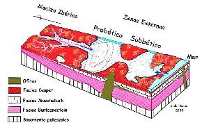 Figura 6: Reconstruccin paleoambiental del Trisico superior de las Zonas Externas de la Cordillera Btica.