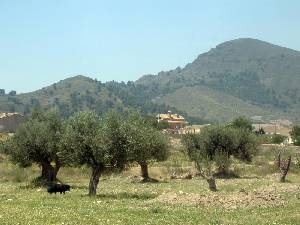 Vista de la Sierra 