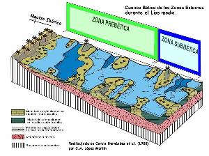 Figura 4: Reconstruccin paleoambiental de las Zonas Externas de la cuenca Btica durante el Las medio, basada en Garca Hernndez et al (1980).