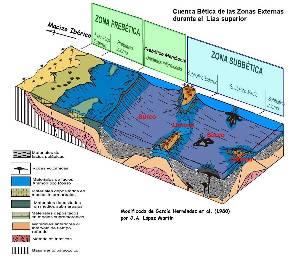 Figura 5: Reconstruccin paleoambiental de las Zonas Externas de la cuenca Btica durante el Las superior, basada en Garca Hernndez et al (1980).