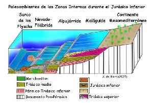 Figura 11: Reconstruccin paleoambiental de las Zonas Internas durante el Jursico inferior.