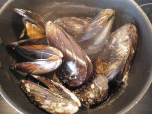 Mejillones al vapor